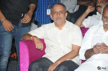 Hora Hori Movie Audio Launch